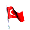 merterdgn